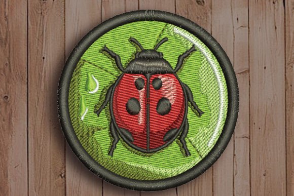 Ladybug in Circle